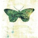 Green Butterfly Art Print -..