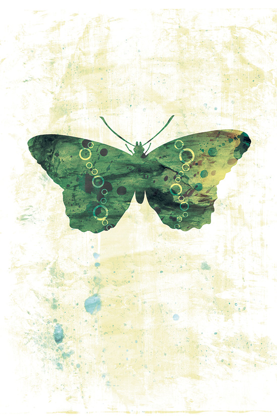 Green Butterfly Art Print - 5 x 7 - Jackie, Home Decor, Nursery Art, Fine Art Print, arthemis butterfly